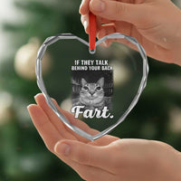 If They Talk Behind Your Back Fart Heart Crystal Glass Ornament Cat Meme Funny Oddly Specific