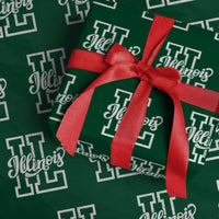 Illinois Sports Fan Wrapping Paper Roll Varsity Aesthetic IL State Pride