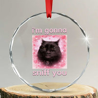 I'm Gonna Sniff You Crystal Glass Ornament Funny Black Cat Brainrot Meme