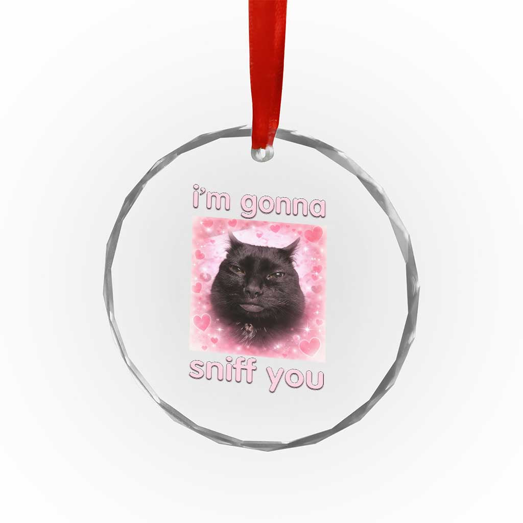 I'm Gonna Sniff You Crystal Glass Ornament Funny Black Cat Brainrot Meme