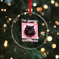 I'm Gonna Sniff You Crystal Glass Ornament Funny Black Cat Brainrot Meme
