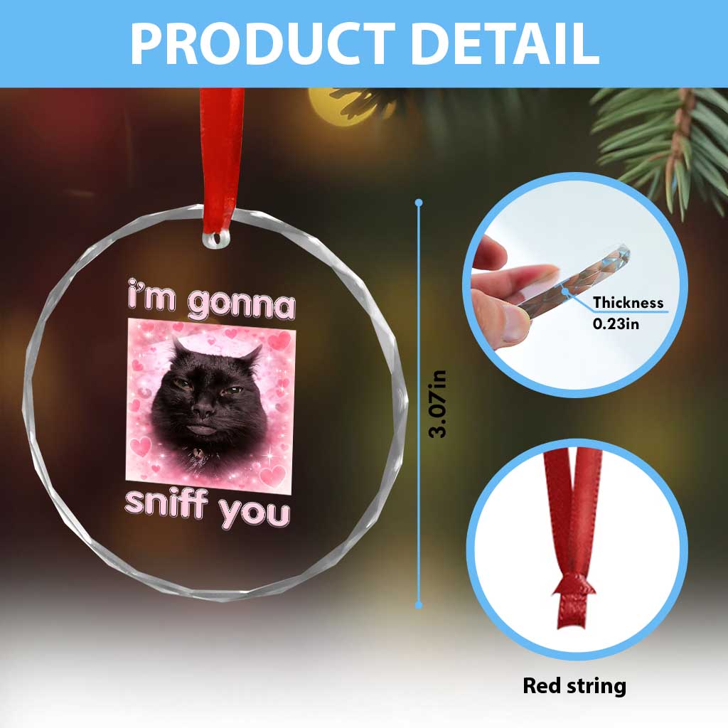I'm Gonna Sniff You Crystal Glass Ornament Funny Black Cat Brainrot Meme