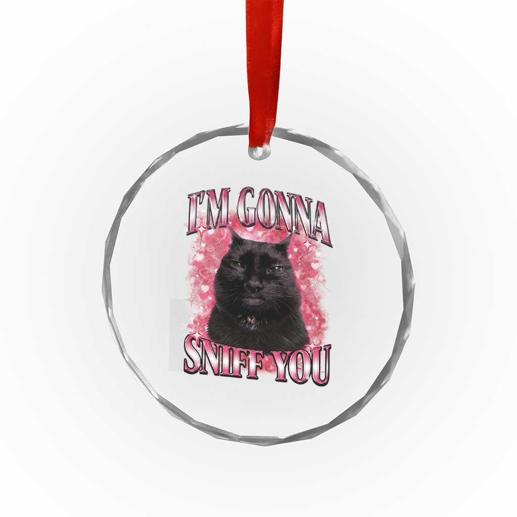 I'm Gonna Sniff You Crystal Glass Ornament Funny Black Cat Meme
