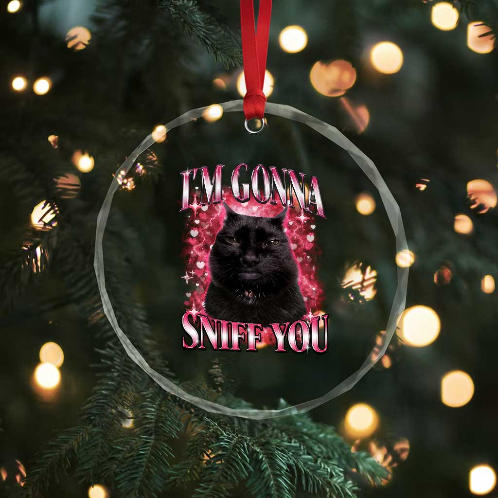I'm Gonna Sniff You Crystal Glass Ornament Funny Black Cat Meme