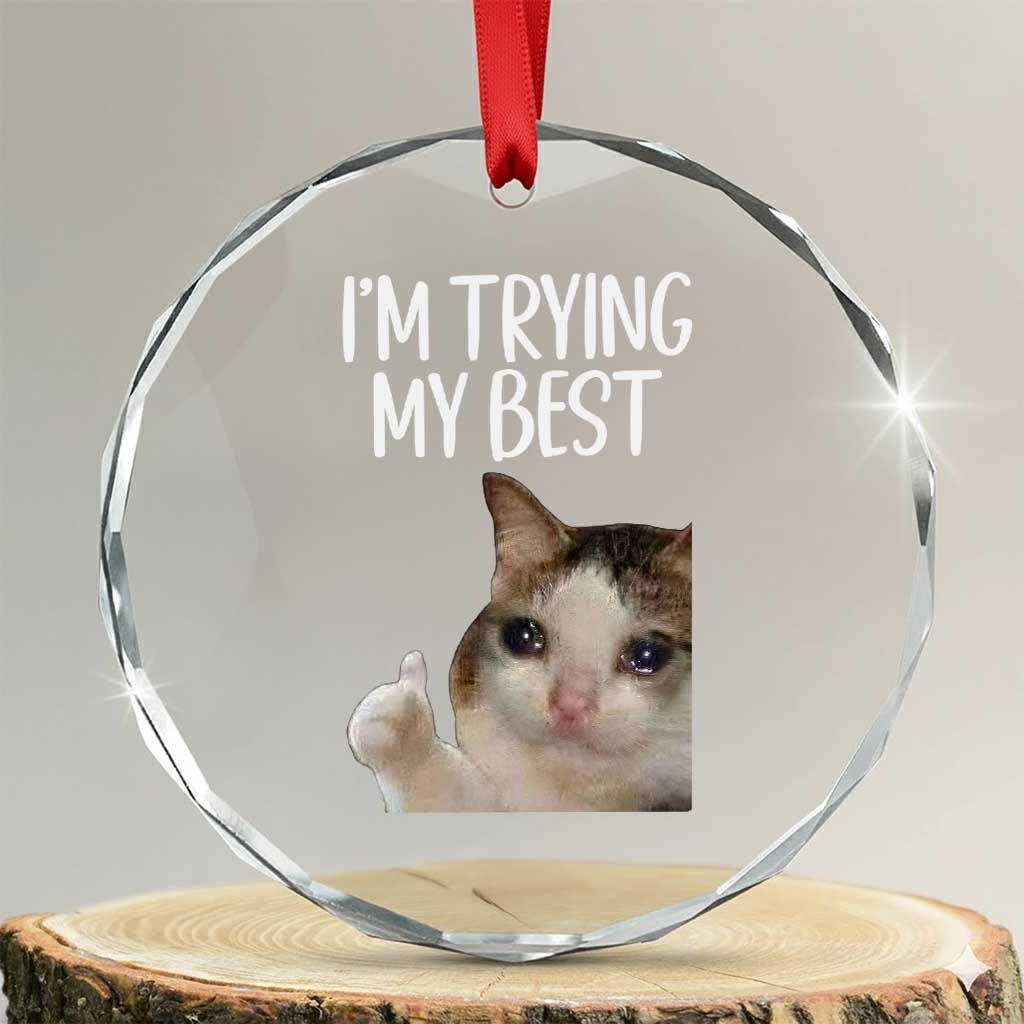 Im Trying My Best Funny Crying Cat Meme Crystal Glass Ornament - Wonder Print Shop