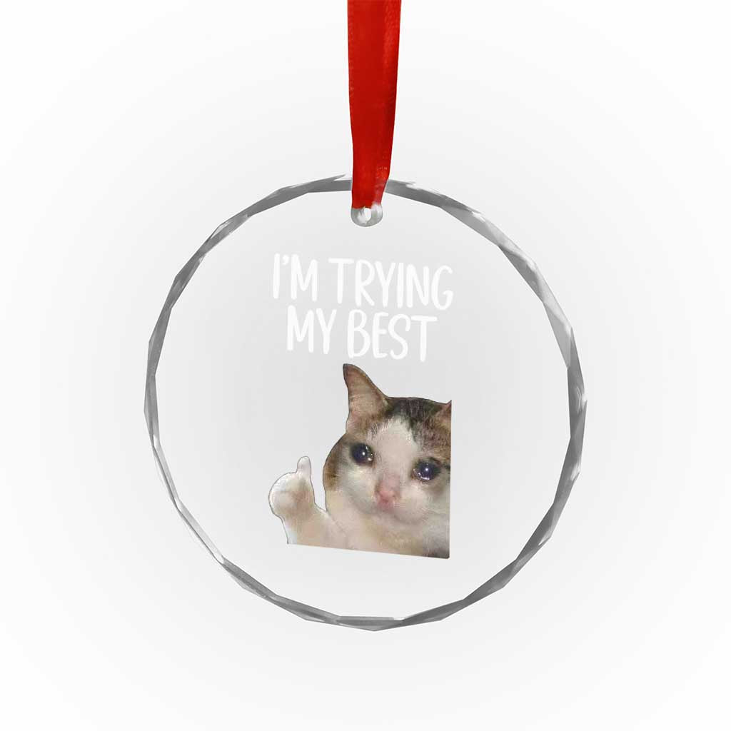 Im Trying My Best Funny Crying Cat Meme Crystal Glass Ornament - Wonder Print Shop