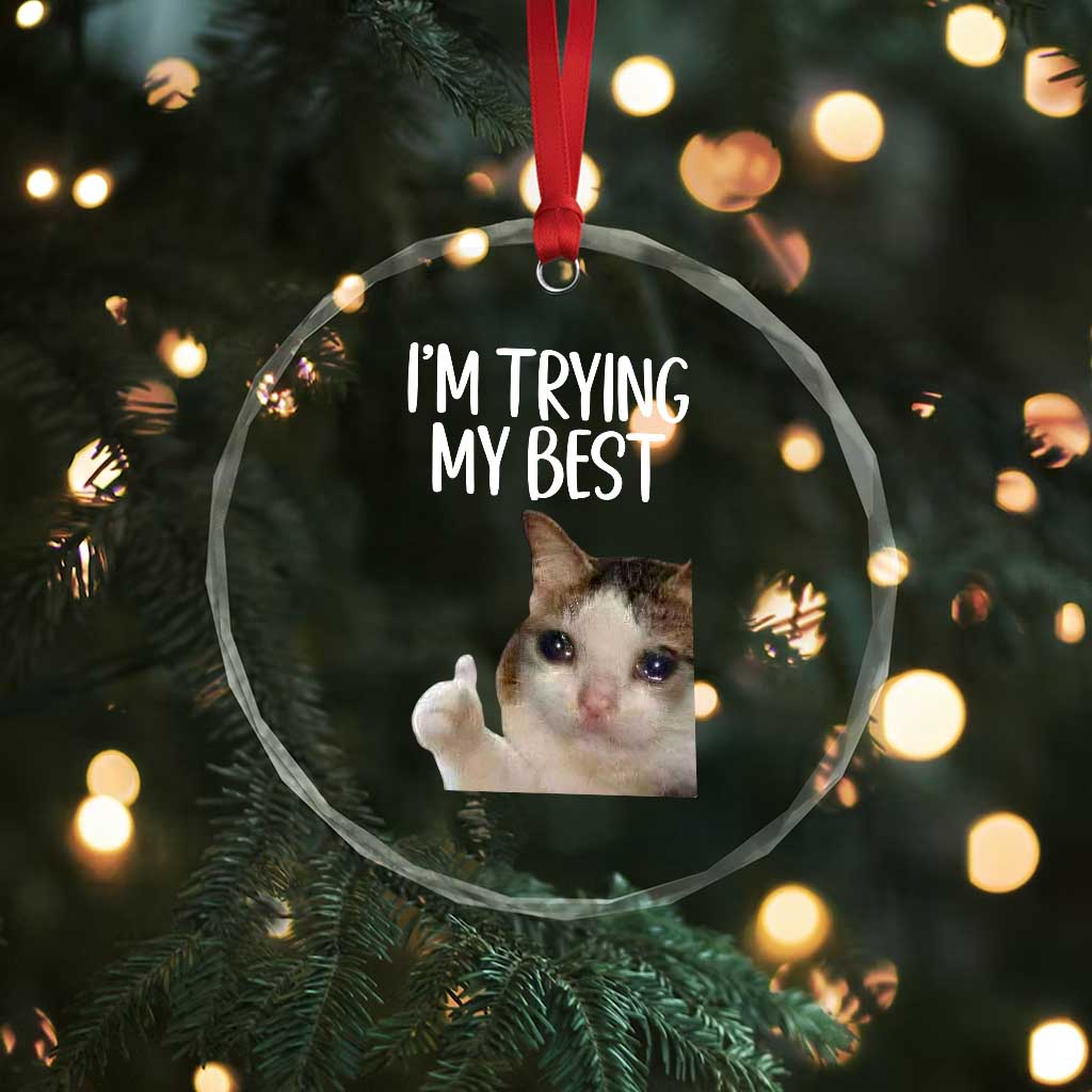 Im Trying My Best Funny Crying Cat Meme Crystal Glass Ornament - Wonder Print Shop