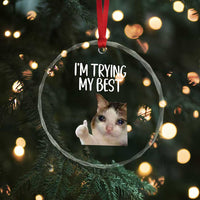 Im Trying My Best Funny Crying Cat Meme Crystal Glass Ornament - Wonder Print Shop