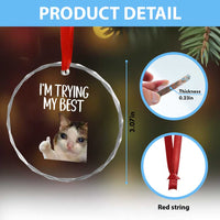 Im Trying My Best Funny Crying Cat Meme Crystal Glass Ornament - Wonder Print Shop