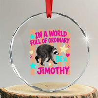 In A World Full Of Ordinary Be A Jimothy Preppy Style Crystal Glass Ornament Cute Y2K Pop Seattle Raccoon Legend Graphic