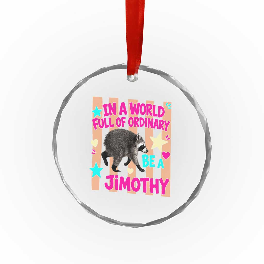 In A World Full Of Ordinary Be A Jimothy Preppy Style Crystal Glass Ornament Cute Y2K Pop Seattle Raccoon Legend Graphic