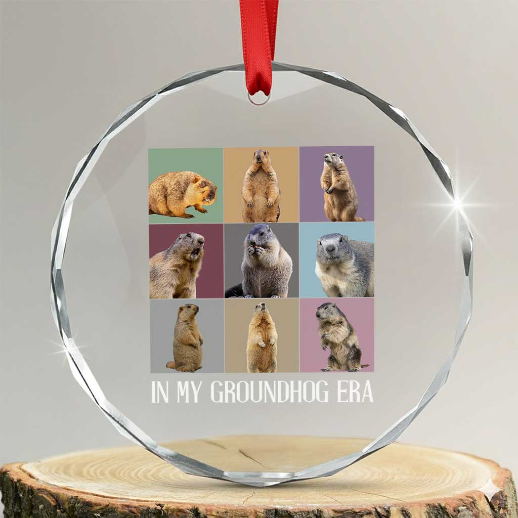 In My Groundhog Era Crystal Glass Ornament Funny Woodchuck TS02