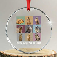 In My Groundhog Era Crystal Glass Ornament Funny Woodchuck TS02