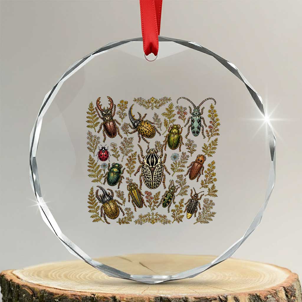 Insect Bug Collection Collector Entomologist Entomology Crystal Glass Ornament