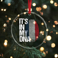 It's in My DNA France French Flag Crystal Glass Ornament