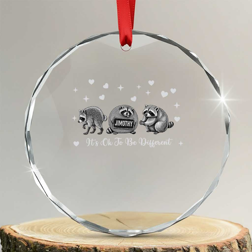 Its Ok To Be Different Jimothy Raccoon Crystal Glass Ornament Cute Trash Panda Viral Animal Lover Gift
