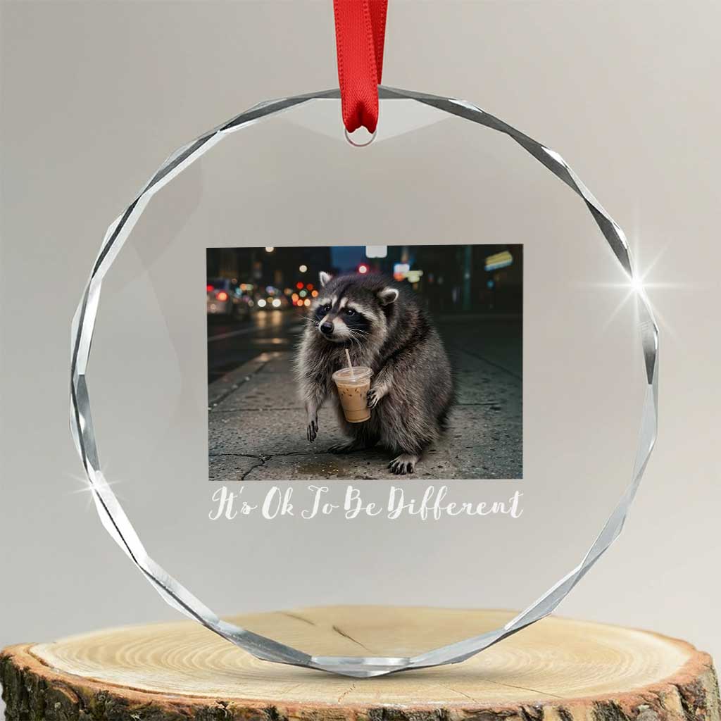 Its Ok To Be Different Jimothy Raccoon Crystal Glass Ornament Funny Short Spine Wildlife