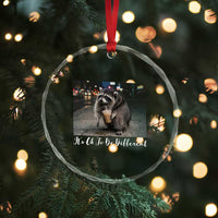 Its Ok To Be Different Jimothy Raccoon Crystal Glass Ornament Funny Short Spine Wildlife