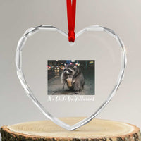 Its Ok To Be Different Jimothy Raccoon Heart Crystal Glass Ornament Funny Short Spine Wildlife