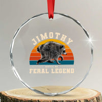 Jimothy from Seattle WA Feral Legend Raccoon Crystal Glass Ornament Viral Trash Panda Vintage Sunset Arch Graphic
