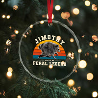 Jimothy from Seattle WA Feral Legend Raccoon Crystal Glass Ornament Viral Trash Panda Vintage Sunset Arch Graphic