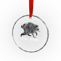 Jimothy the Raccoon Funny Stay Weird Crystal Glass Ornament Seattle Short Spine Trash Panda