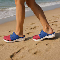 Liechtenstein Clogs Shoes Flag Color Inspiration - Wonder Print Shop