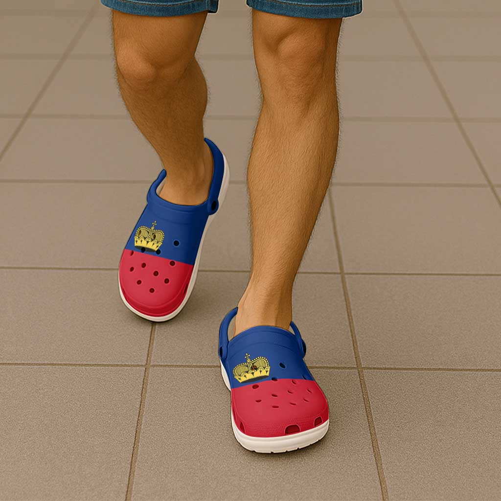 Liechtenstein Clogs Shoes Flag Color Inspiration - Wonder Print Shop