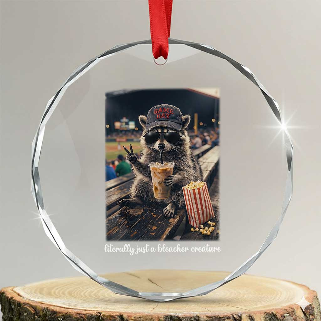Literally Just A Bleacher Creature Funny Raccoon Baseball Graphic Crystal Glass Ornament Cool Game Day Fan Gift