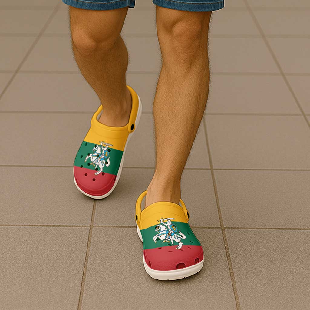 Lithuania Clogs Shoes Flag Color Inspiration - Wonder Print Shop