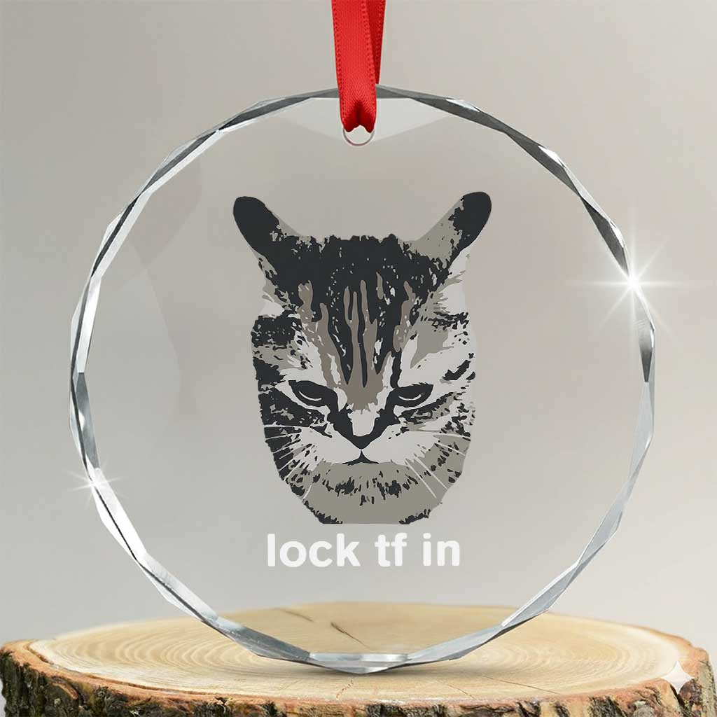 Lock TF In Cat Crystal Glass Ornament Funny Gen Z Meme
