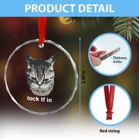 Lock TF In Cat Crystal Glass Ornament Funny Gen Z Meme