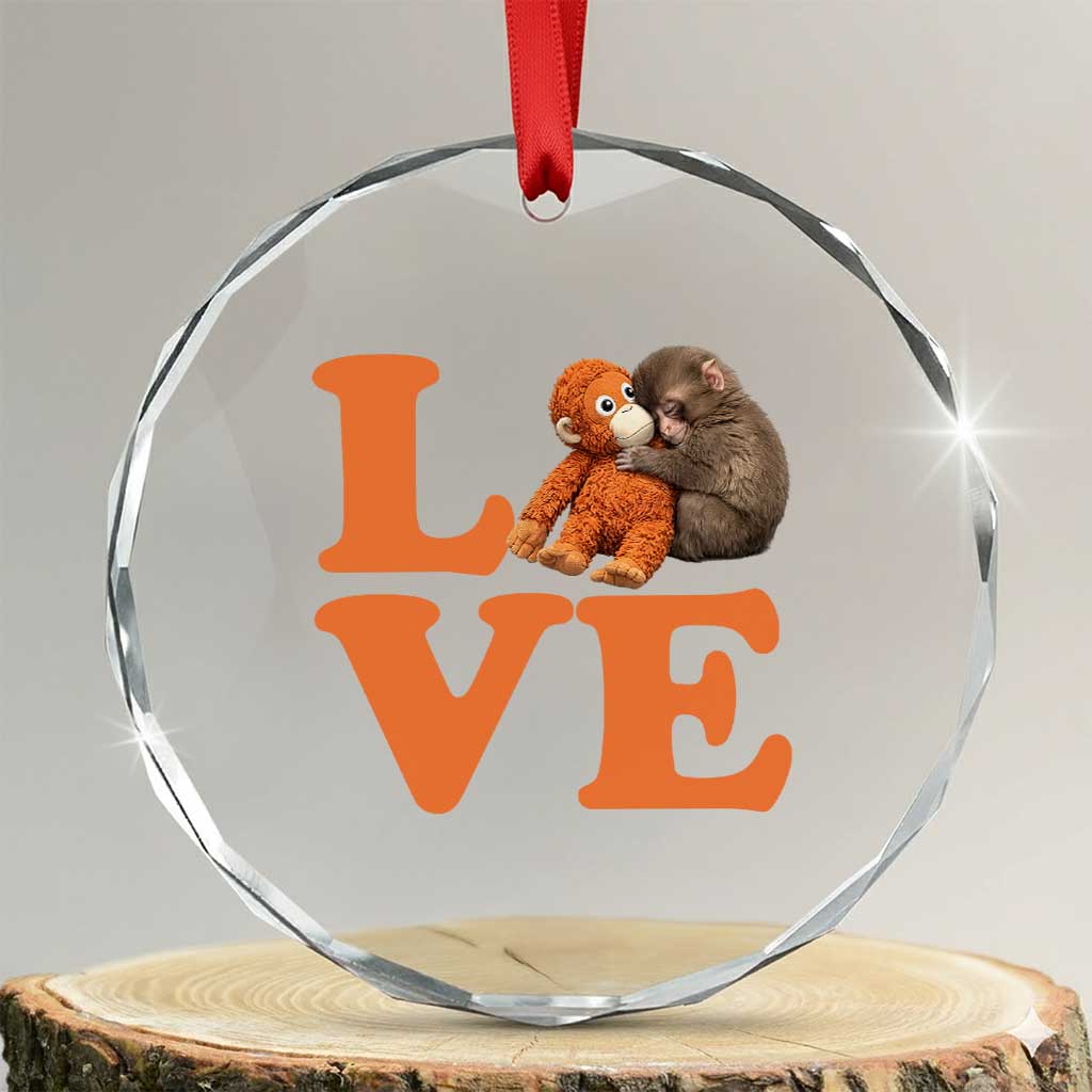 Love Punch the Baby Monkey Crystal Glass Ornament Cute Hugging Plush Toy Viral Friendship