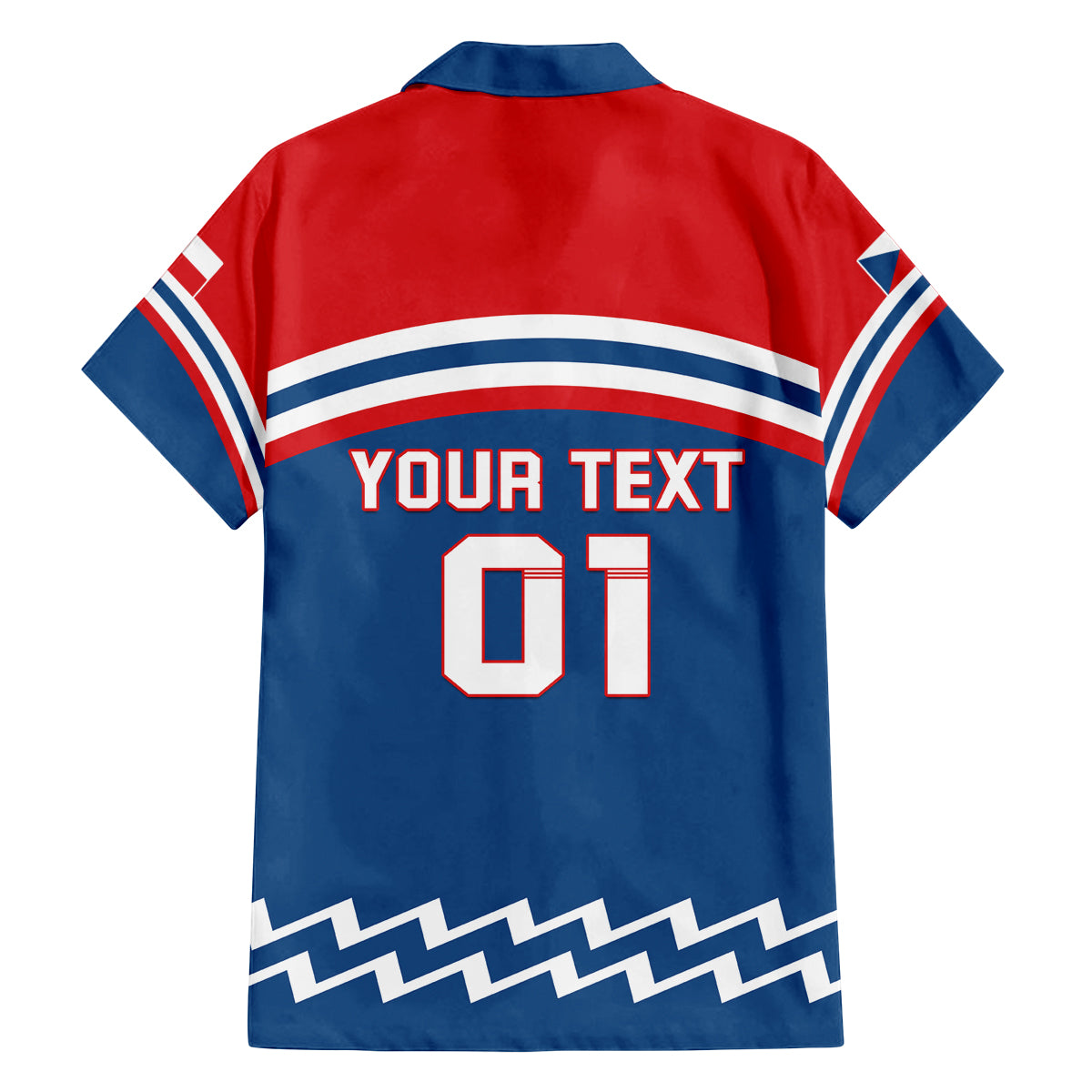 Czech Hockey 2024 Family Matching Off The Shoulder Long Sleeve Dress and Hawaiian Shirt Come on Czechia - Wonder Print Shop