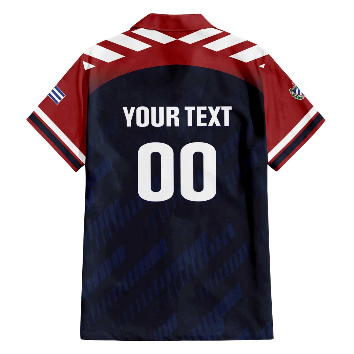 Custom Baseball Titanes Florida Family Matching Off The Shoulder Long Sleeve Dress and Hawaiian Shirt Puerto Rico Boys Come On