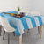 Rugby Argentina Tablecloth Pumitas Go Champions