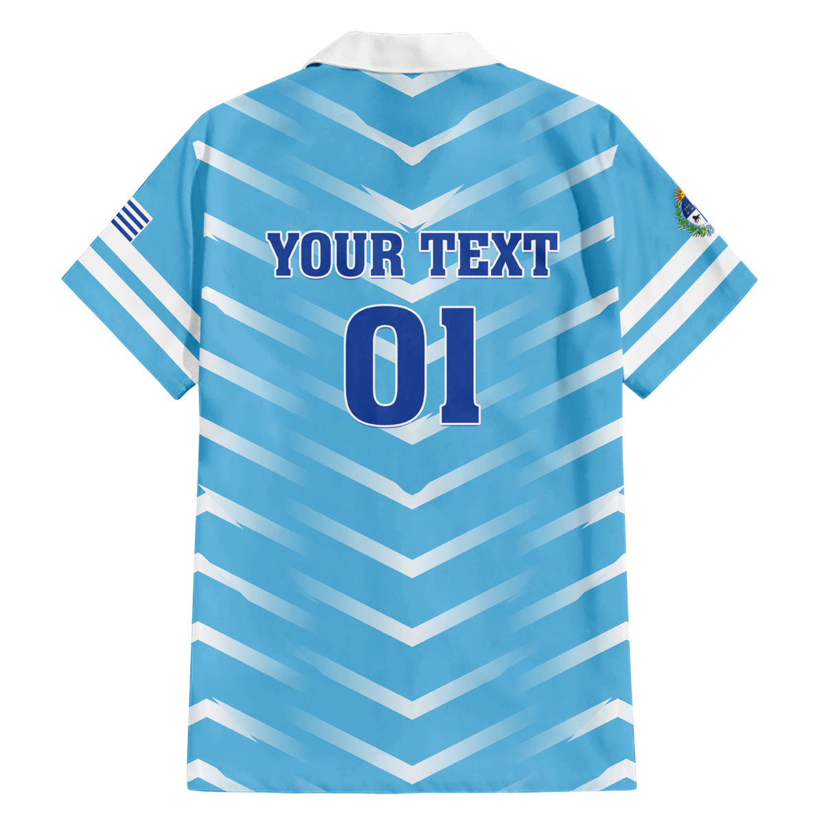 Personalized Uruguay 2024 Football Hawaiian Shirt Come On La Celeste - Wonder Print Shop