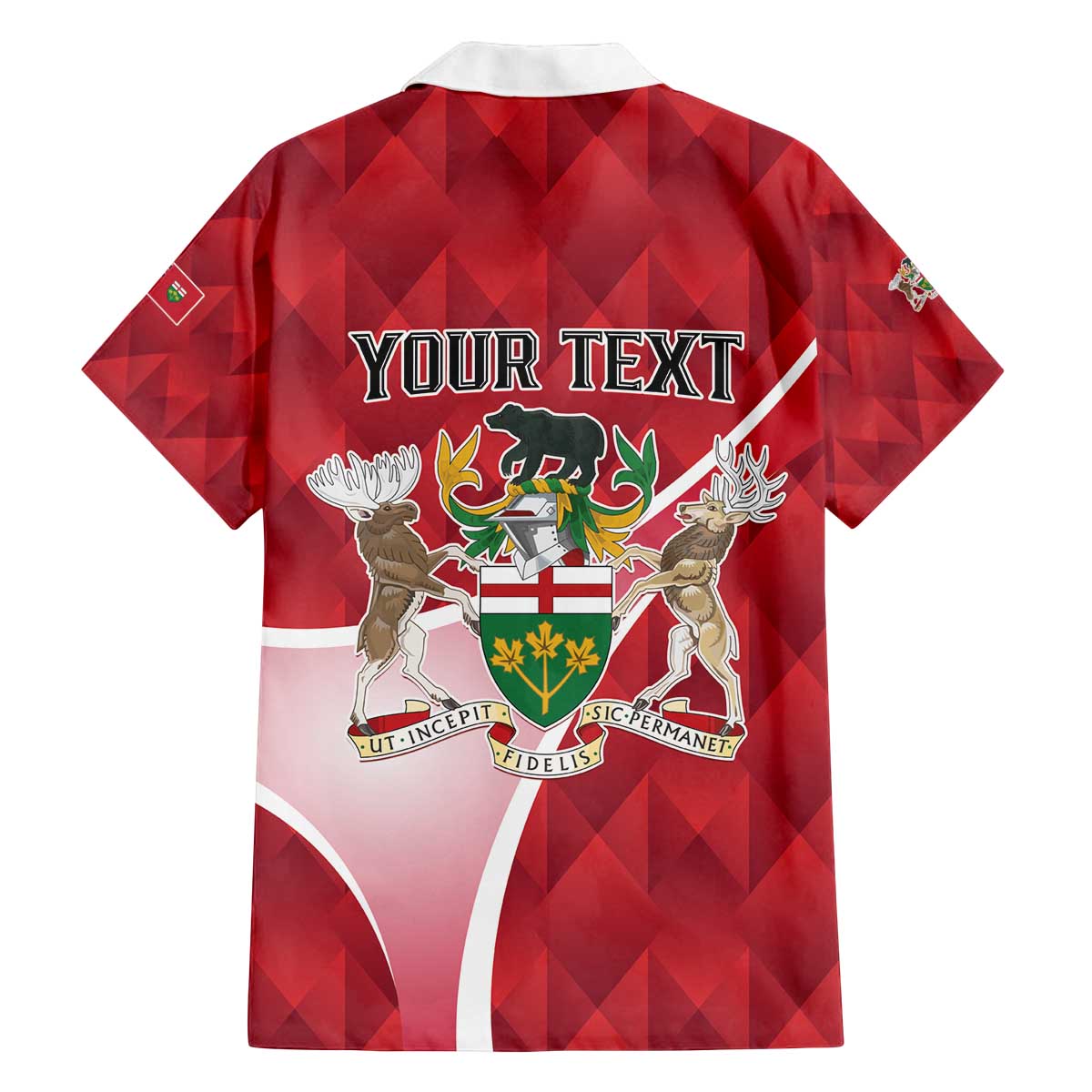 Personalized Canada Ontario Province Family Matching Off The Shoulder Long Sleeve Dress and Hawaiian Shirt Black Bear Flag Stylized