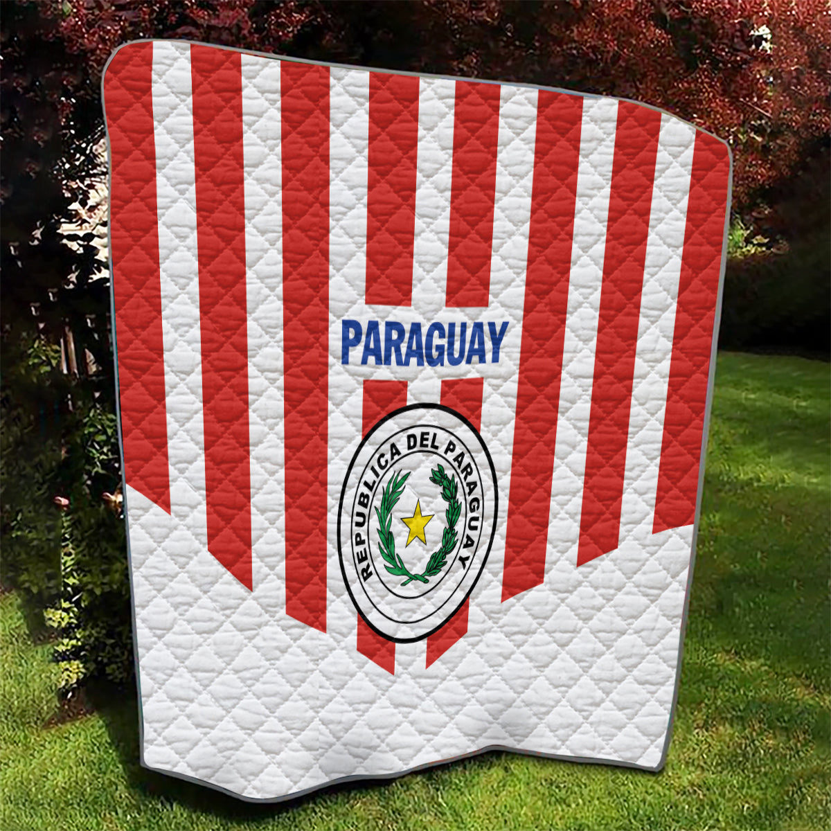 Paraguay 2024 Football Quilt Come On La Albirroja - Wonder Print Shop