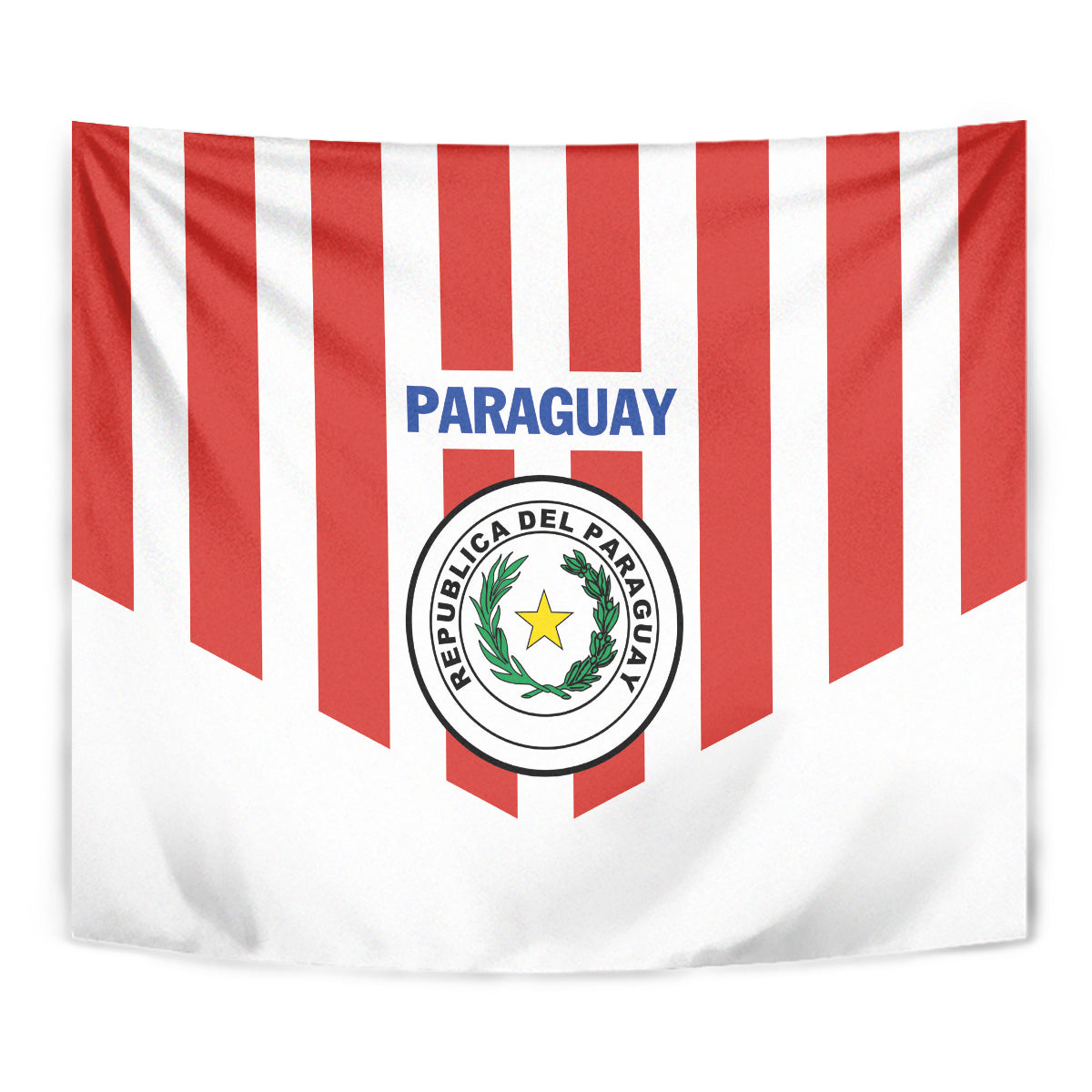 Paraguay 2024 Football Tapestry Come On La Albirroja - Wonder Print Shop