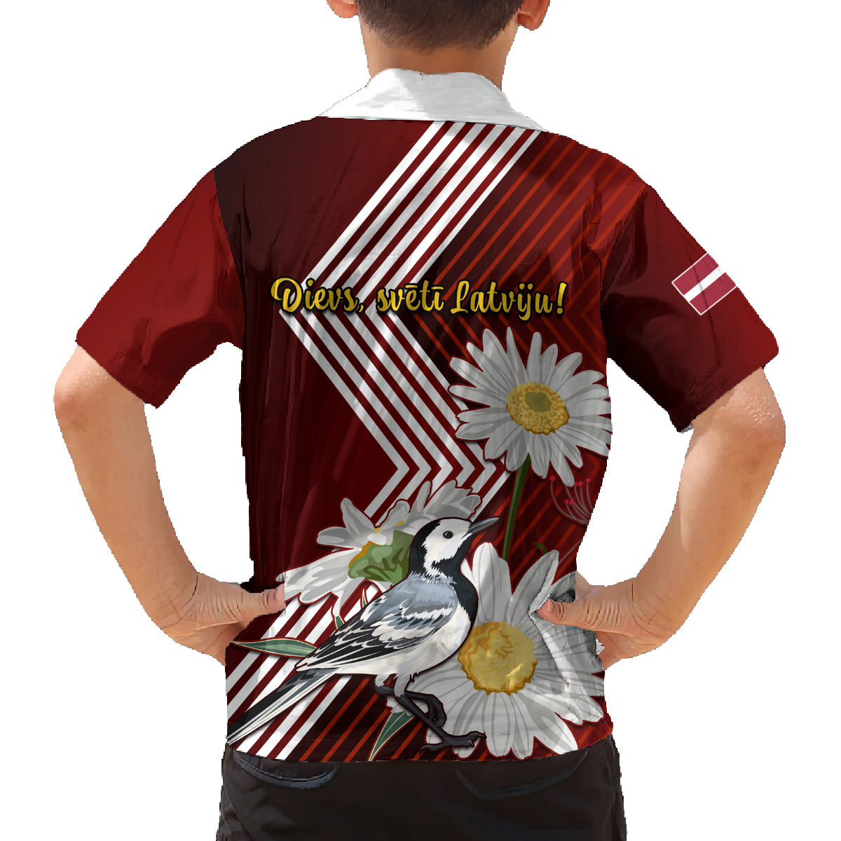 Latvia Independence Day Family Matching Off Shoulder Maxi Dress and Hawaiian Shirt Latvijas White Wagtail With Daisy Flowers - Wonder Print Shop