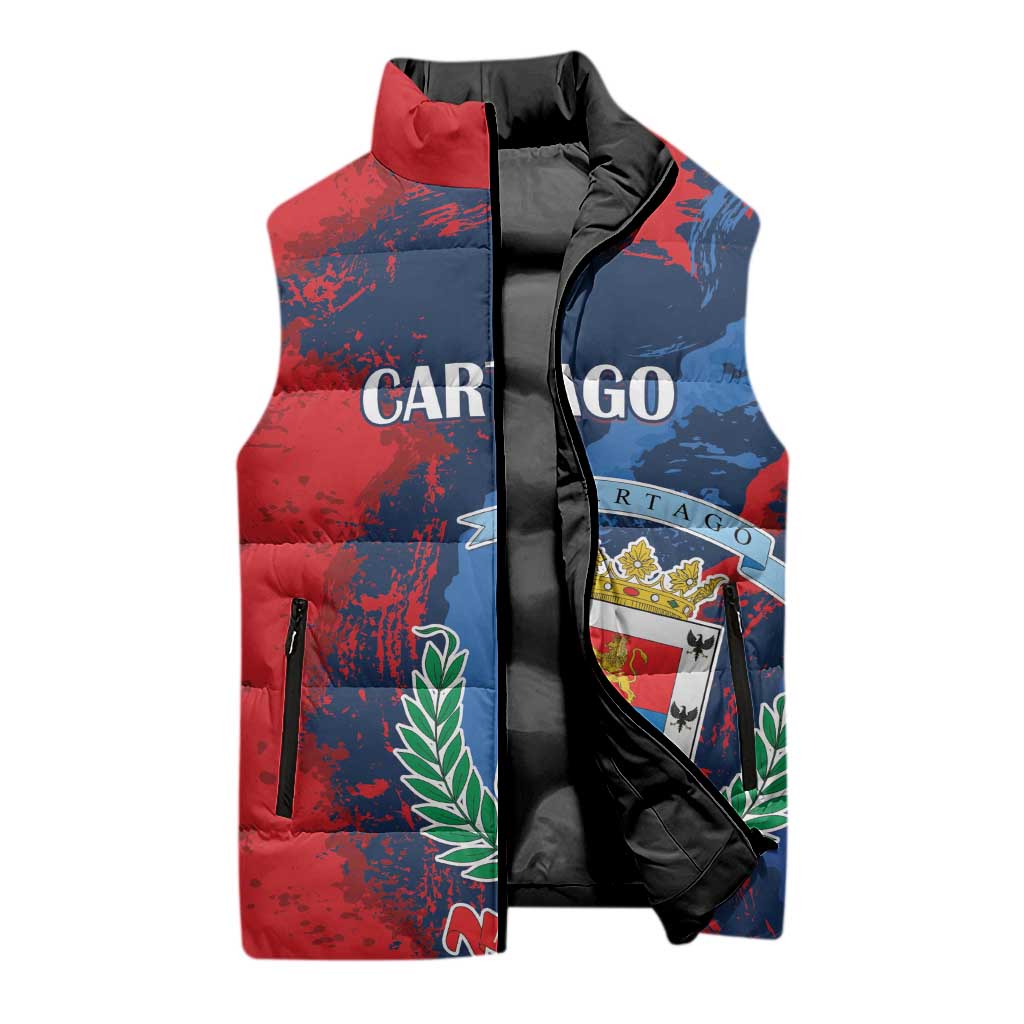 Personalized Costa Rica Cartago Province Sleeveless Puffer Jacket Brumosos Hometown - Wonder Print Shop