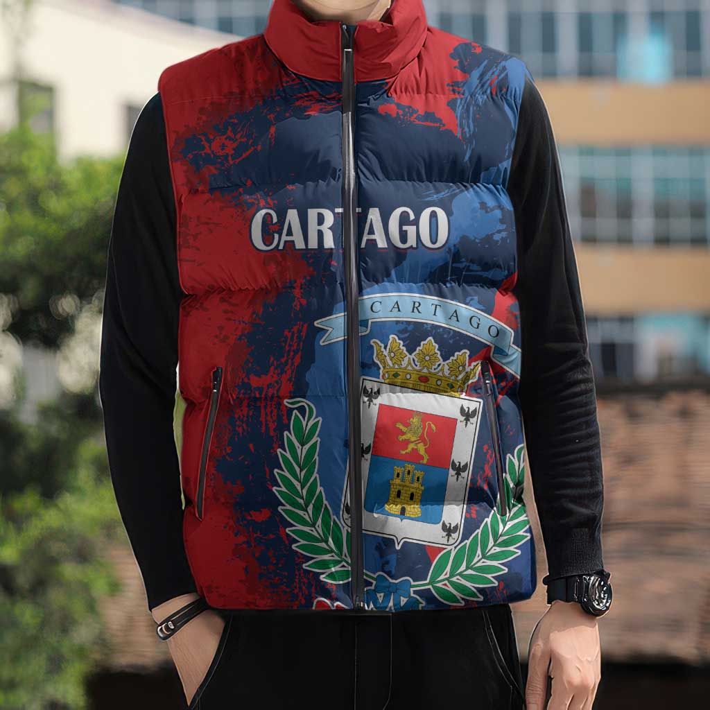 Personalized Costa Rica Cartago Province Sleeveless Puffer Jacket Brumosos Hometown - Wonder Print Shop