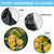 Custom South Africa Rugby Spare Tire Cover Go Bokke Champion 2023 World Cup - Wonder Print Shop