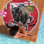 Canada Manitoba Province Bison Beach Blanket Gloriosus et Liber