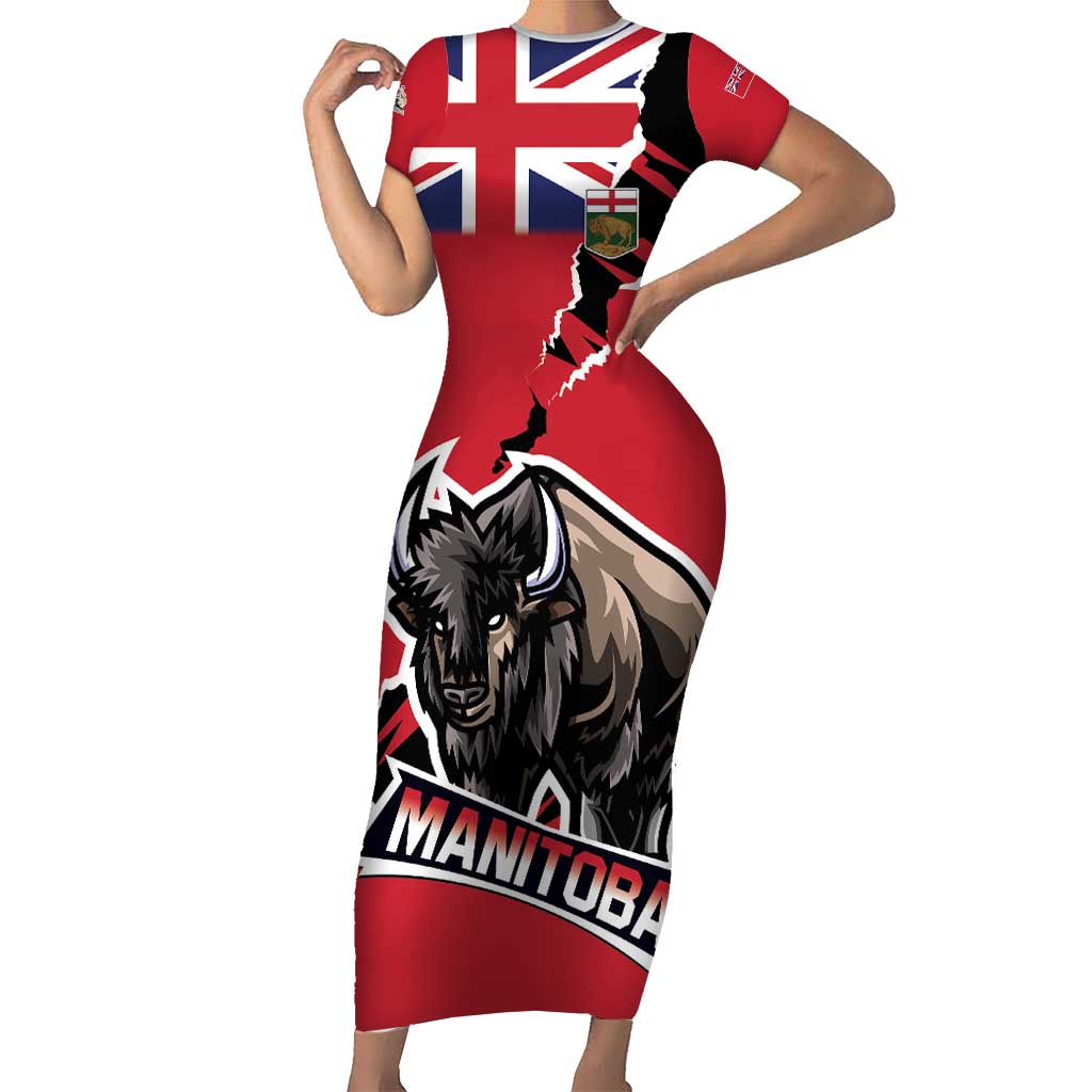 Personalized Canada Manitoba Province Bison Family Matching Short Sleeve Bodycon Dress and Hawaiian Shirt Gloriosus et Liber