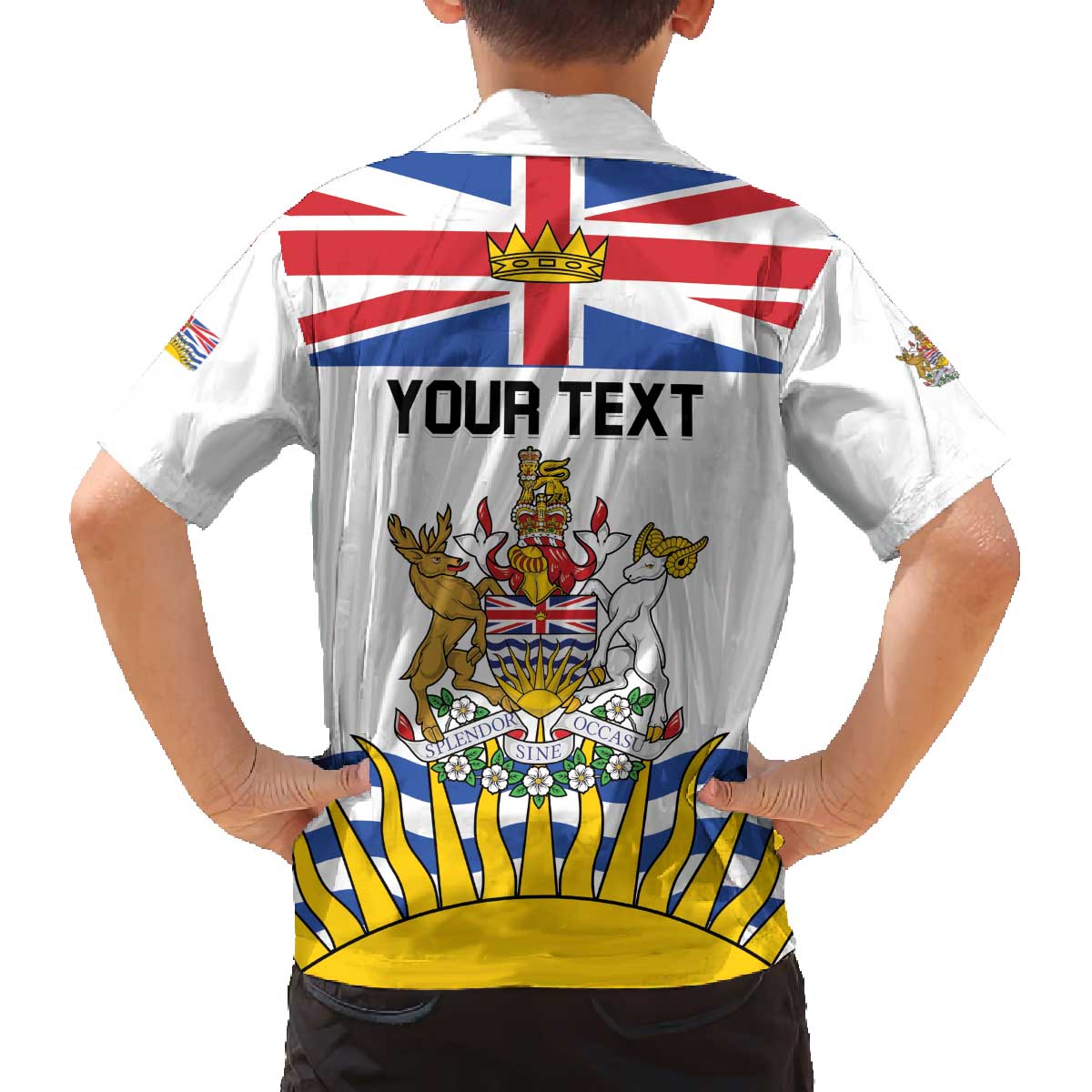 Personalized Canada British Columbia Province Family Matching Off The Shoulder Long Sleeve Dress and Hawaiian Shirt Splendor sine occasu