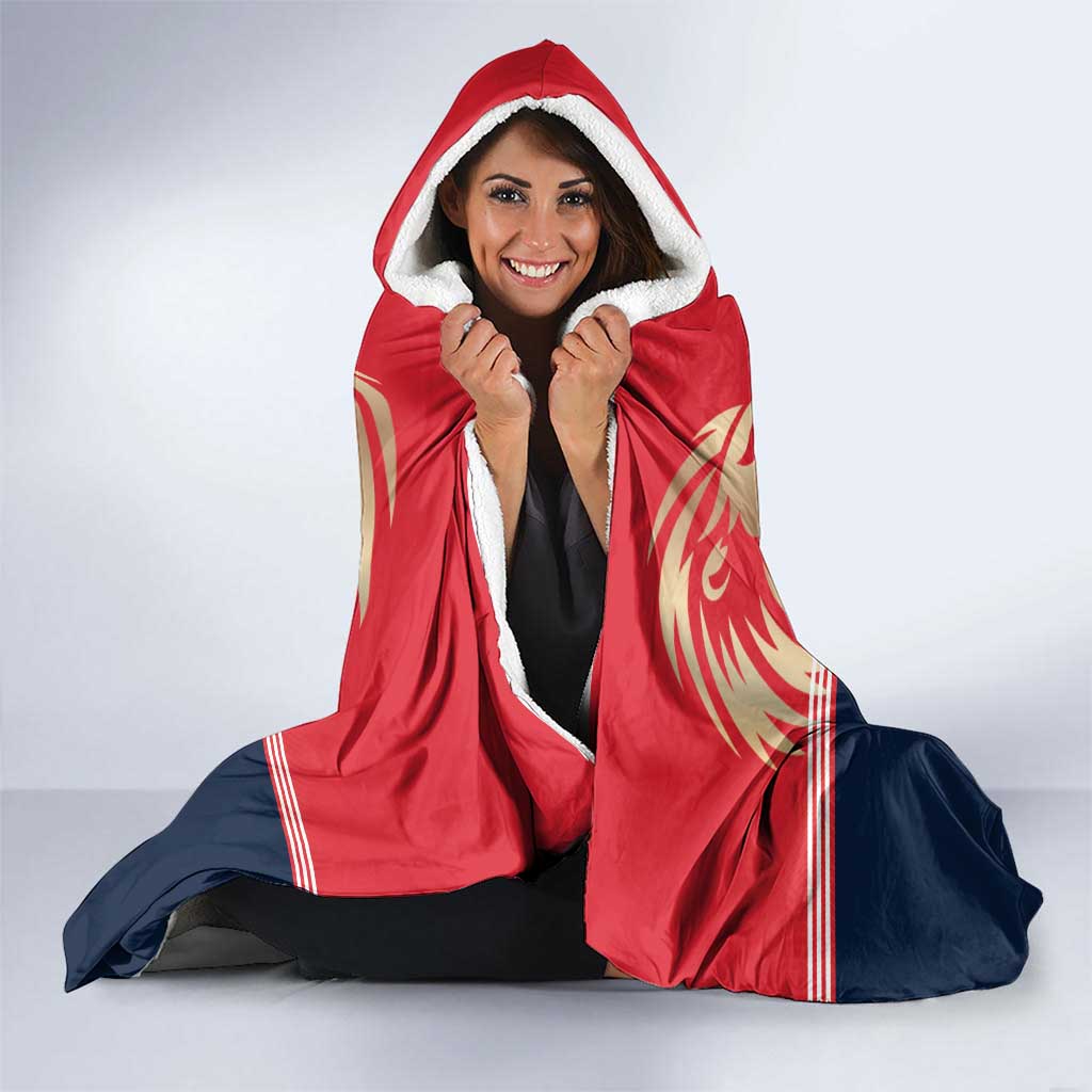 Punjab 2025 Cricket Lion Kings Hooded Blanket Jazba Hai Punjabi
