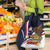 American Samoa Grocery Bag Amerika Samoa Bald Eagle
