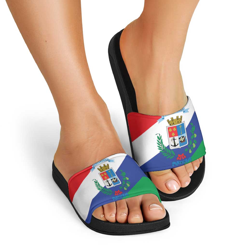 Costa Rica Puntarenas Province Since 1519 Slide Sandals - Wonder Print Shop